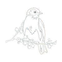 Line Art Animals Line Art Animals