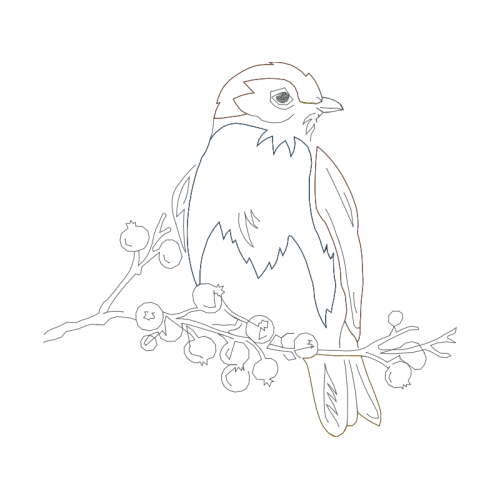 Line Art Animals Line Art Animals