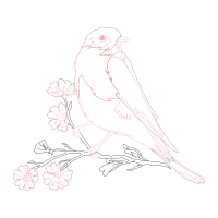 Line Art Animals Line Art Animals