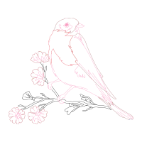 Line Art Animals Line Art Animals