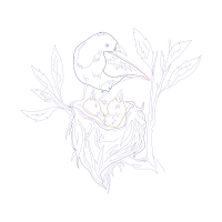 Line Art Animals Line Art Animals