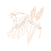 Line Art Animals Line Art Animals