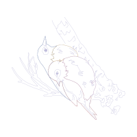 Line Art Animals Line Art Animals