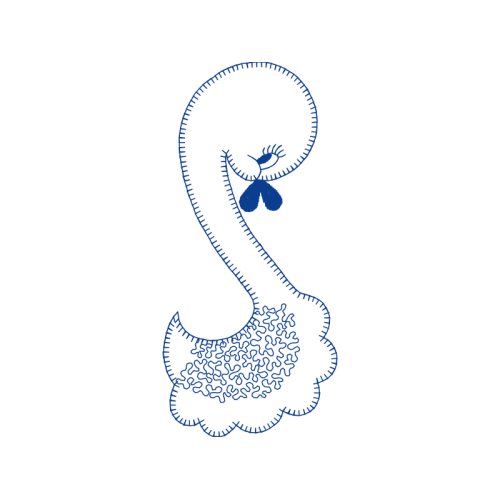 Line Art Animals Line Art Animals