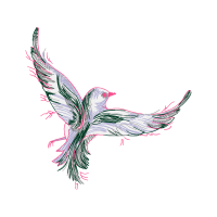 Line Art Animals Line Art Animals