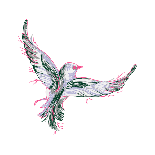 Line Art Animals Line Art Animals