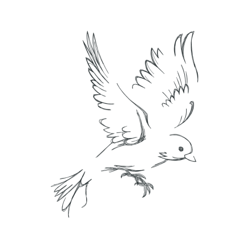 Line Art Animals Line Art Animals