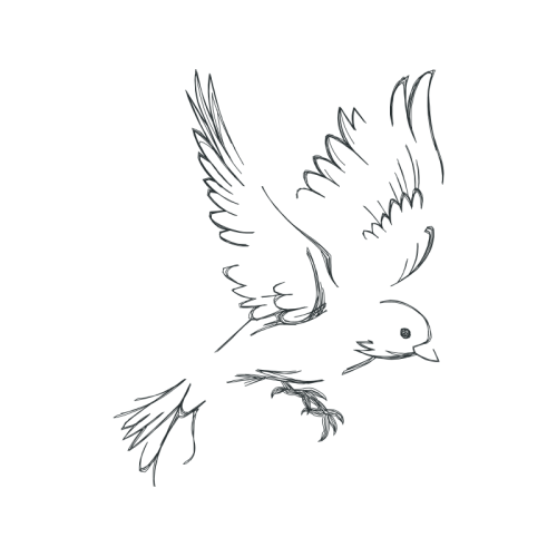 Line Art Animals Line Art Animals