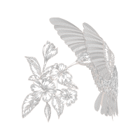 Line Art Animals Line Art Animals