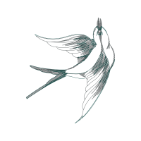 Line Art Animals Line Art Animals