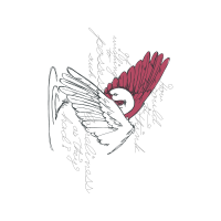 Line Art Animals Line Art Animals