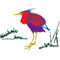 Little Blue Heron Animals