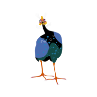 Little Blue Heron Animals