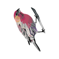 Little Brown Bat Animals