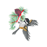 Loblolly Pine Animals Loblolly Pine Animals