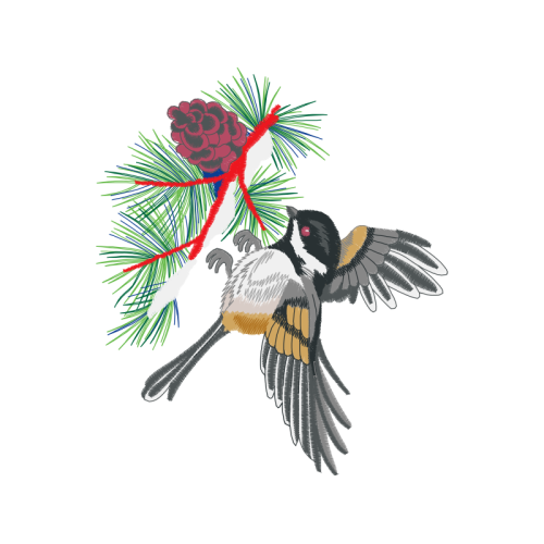 Loblolly Pine Animals Loblolly Pine Animals