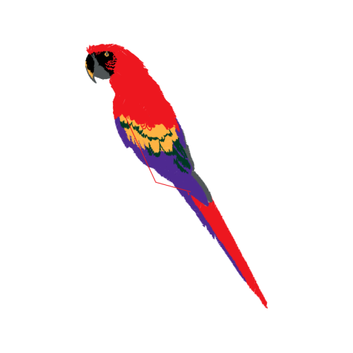 Loriini Animals Loriini Animals