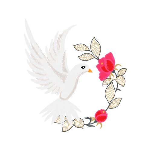 M 02Csf Animals M 02Csf Animals