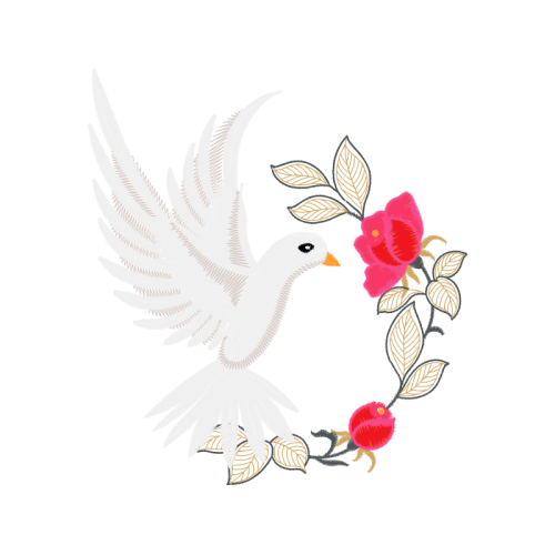 M 02Csf Animals M 02Csf Animals