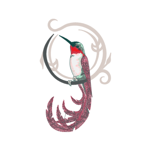 M 02Csf Animals M 02Csf Animals