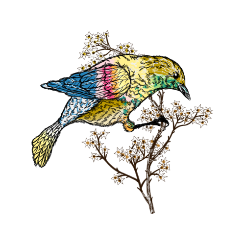 M 02Csf Animals M 02Csf Animals