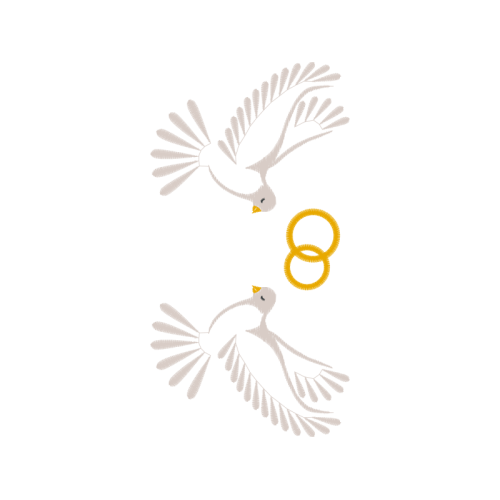 M 02Csf Animals M 02Csf Animals