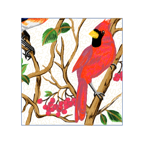 Macaw Animals Macaw Animals