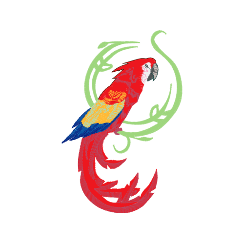 Macaw Animals Macaw Animals