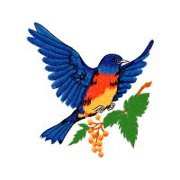 Machine Animals Machine Animals