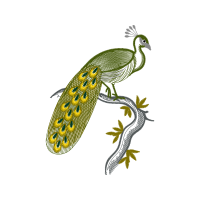 Machine Animals Machine Animals