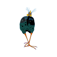 Marabou Stork Animals Marabou Stork Animals