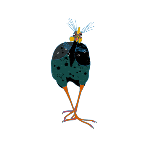 Marabou Stork Animals Marabou Stork Animals