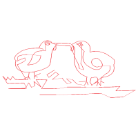 Meter Animals Meter Animals