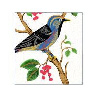 Mountain Bluebird Animals Mountain Bluebird Animals