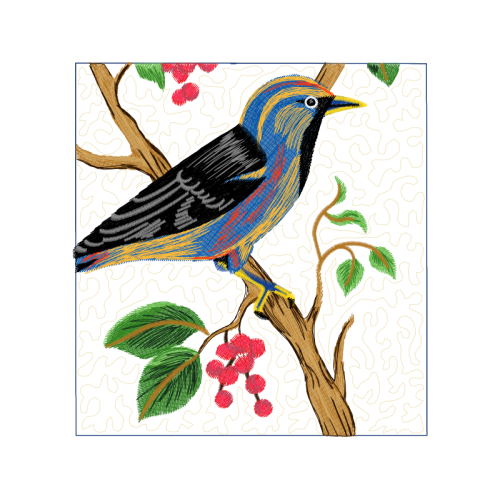 Mountain Bluebird Animals Mountain Bluebird Animals