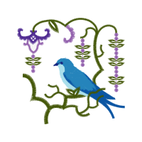 Mountain Bluebird Animals Mountain Bluebird Animals