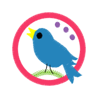 Mountain Bluebird Animals Mountain Bluebird Animals