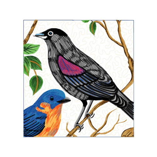 Mountain Bluebird Animals Mountain Bluebird Animals