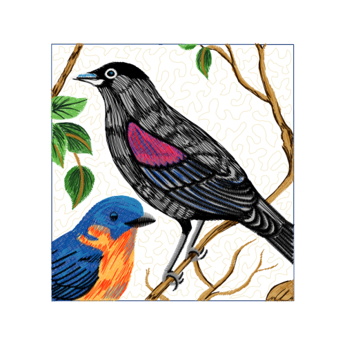 Mountain Bluebird Animals Mountain Bluebird Animals