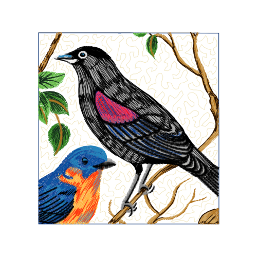 Mountain Bluebird Animals Mountain Bluebird Animals