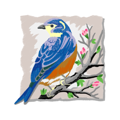 Mountain Bluebird Animals Mountain Bluebird Animals