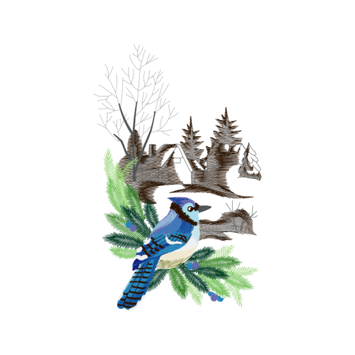 Mountain Bluebird Animals Mountain Bluebird Animals