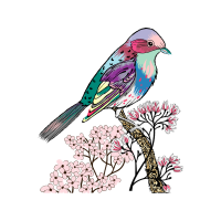 Mountain Bluebird Animals Mountain Bluebird Animals