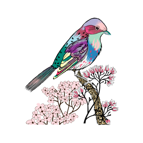 Mountain Bluebird Animals Mountain Bluebird Animals