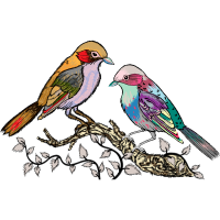 Mountain Bluebird Animals Mountain Bluebird Animals