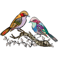 Mountain Bluebird Animals Mountain Bluebird Animals