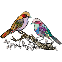 Mountain Bluebird Animals Mountain Bluebird Animals