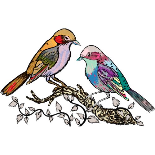 Mountain Bluebird Animals Mountain Bluebird Animals