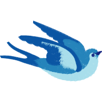 Mountain Bluebird Animals Mountain Bluebird Animals