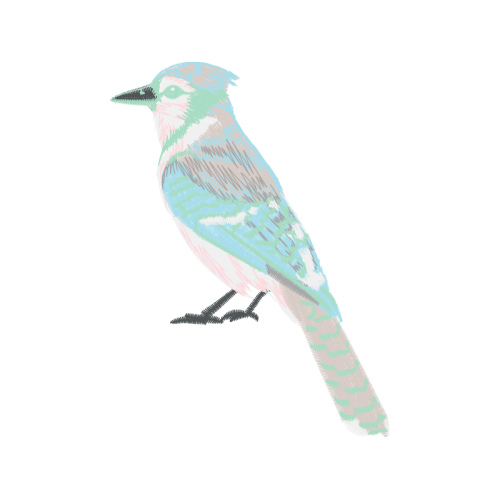 Mountain Bluebird Animals Mountain Bluebird Animals